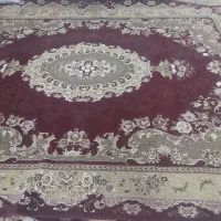 قالی تمیز تمیز|فرش|شیراز, درکی|دیوار