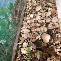 آکواریوم ساده و شرکتی ماهیران بسیار تمیز|ماهی|اصفهان, آهنگران|دیوار