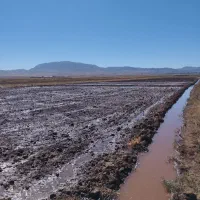 مقدار ۱۲ساعت آب چاه موتور ملکی  ب همراه زمین