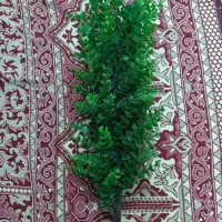 وسایل و لوازم ماهی و آکواریوم قیمت مناسب