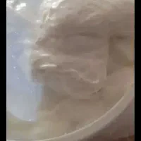 ماست چکیده تلمی گوسفندی پرچرب