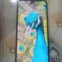 گوشی شیائومی ردمی نوت11|موبایل|زاهدان, |دیوار