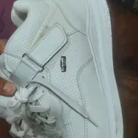 تعدادی کفش|کیف، کفش، کمربند|کرج, شهرک رضوانیه|دیوار