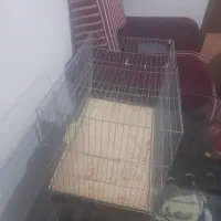قفس پرنده