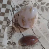 سنگ شجر