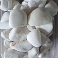 سنگ بدون رگه و بدون اهک