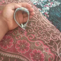 ساعت مچی|ساعت|کاکی, |دیوار
