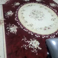 فرش دوازده متری|فرش|تهران, استاد معین|دیوار