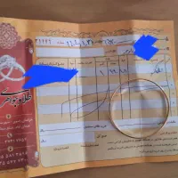 الگو طلا