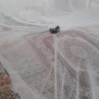 پشه بند بزرگ