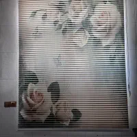 پرده زبرا