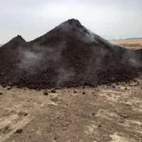 کود وخاک|خدمات باغبانی و درختکاری|آبیک, |دیوار