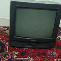 تلویزیون