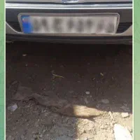 ماشین فروشی