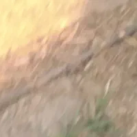 خانه فروشی  گلباف 18قصب سندتک برگ