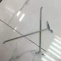 شاخک رگال