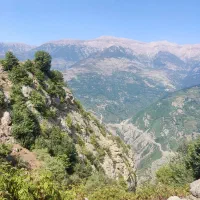 دربستی مستقل
