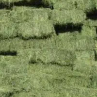 یونجه پرس شده|لوازم جانبی حیوانات|اصفهان, آفاران|دیوار