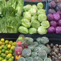 خانم جهت کار در فروشگاه