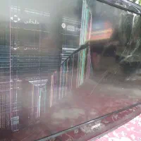 تلویزیون اسنوا