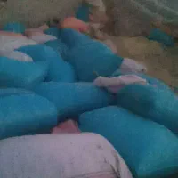فروش کاه