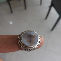 فروش شجر اصل|جواهرات|رباط‌کریم, آدران|دیوار