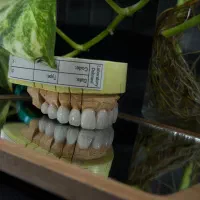 دوره آموزشی دندانسازی