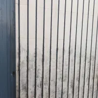 شستشوی تخصصی نما|خدمات نظافت|اصفهان, مفتح|دیوار