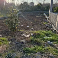 زمین-283-متری-داخل-بافت