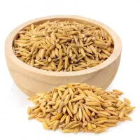 برنج و چلتوک چمپا