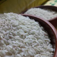 برنج عنبربو معطر و تازه