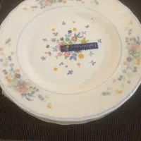 فروش پیشدستی و دیس آرکوپال