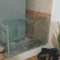 آکواریوم|ماهی|همدان, |دیوار