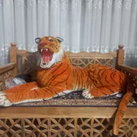 ببرپلیشی سایزبزرگ