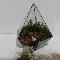 تراریوم تزیینی شیک تک به قیمت عمده|گل و گیاه طبیعی|شیراز, شهرک ولیعصر|دیوار