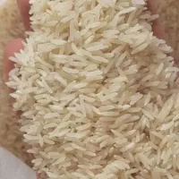 برنج دانه متوسط|خوردنی و آشامیدنی|رشت, فلسطین|دیوار