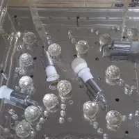 لوستر|لوستر و چراغ آویز|اسلام‌شهر, شهرک قائمیه|دیوار