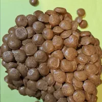 عسل و ژل رویاا|خوردنی و آشامیدنی|دیلم, |دیوار