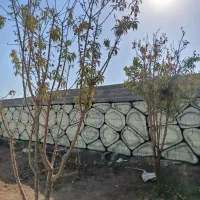 ۳۲۰ متری آماده نگهبانی سنددار اقساطی معاوضه