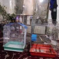 دو عدد قفس عروس هلندی با وسایل فقط یک وپانصد