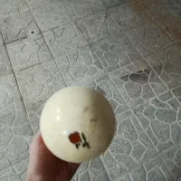 تخم شتر مرغ