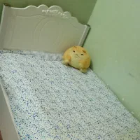 تخت خواب تک نفره