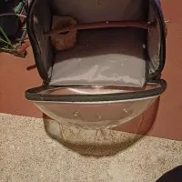 کوله پشتی حمل پرندگان