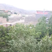 خونه-باغ-فردو