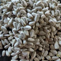 ارزن و بذر گلرنگ پاک شده