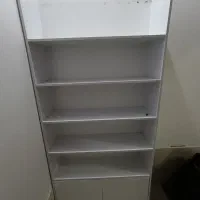 قفسه های ساده و رگال دار شاخک