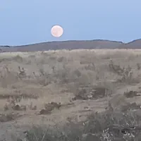 فروش زمین با کاربری دانه درشت