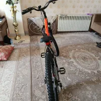 دوچرخه ویوا (VIVA) سایز 29 کاملا نو نو|دوچرخه، اسکیت، اسکوتر|محمدشهر, همایون ویلا|دیوار