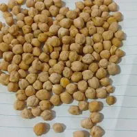 نخودتازه دشتروم ۱40