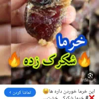 خرمای شکرکی